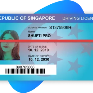 SINGAPORE DRIVER’S LICENSE